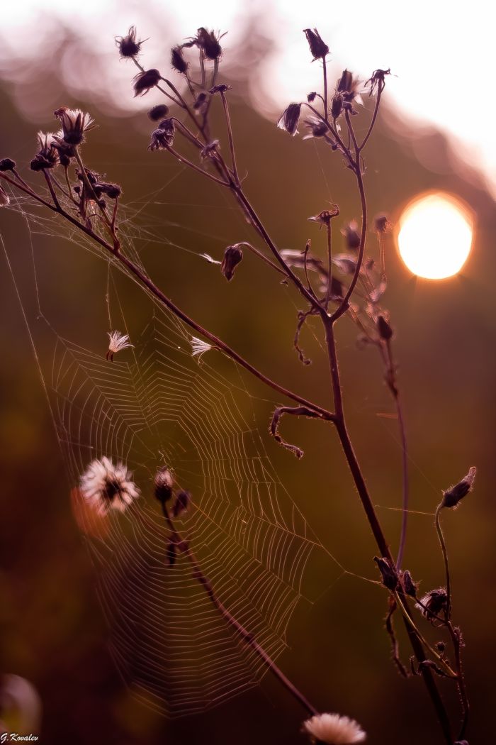 Нового дня глоток...