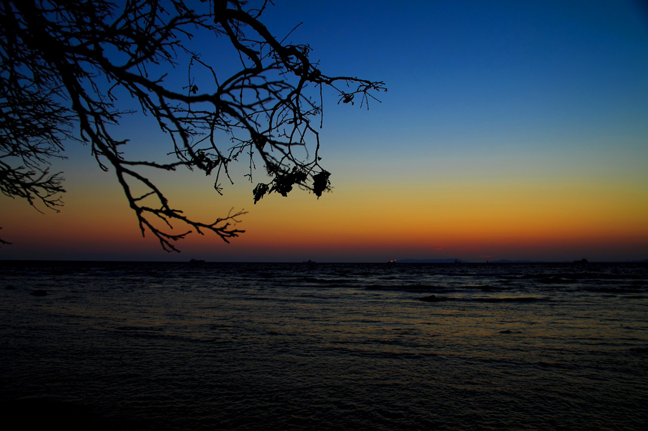 Октябрь. Залив Восток