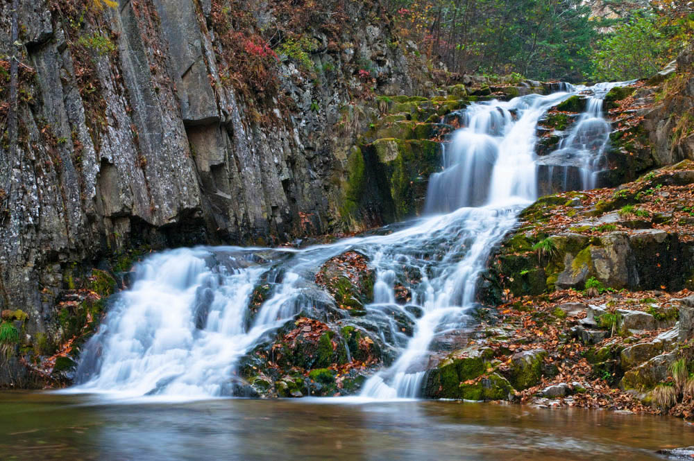 еще раз "разбойник"