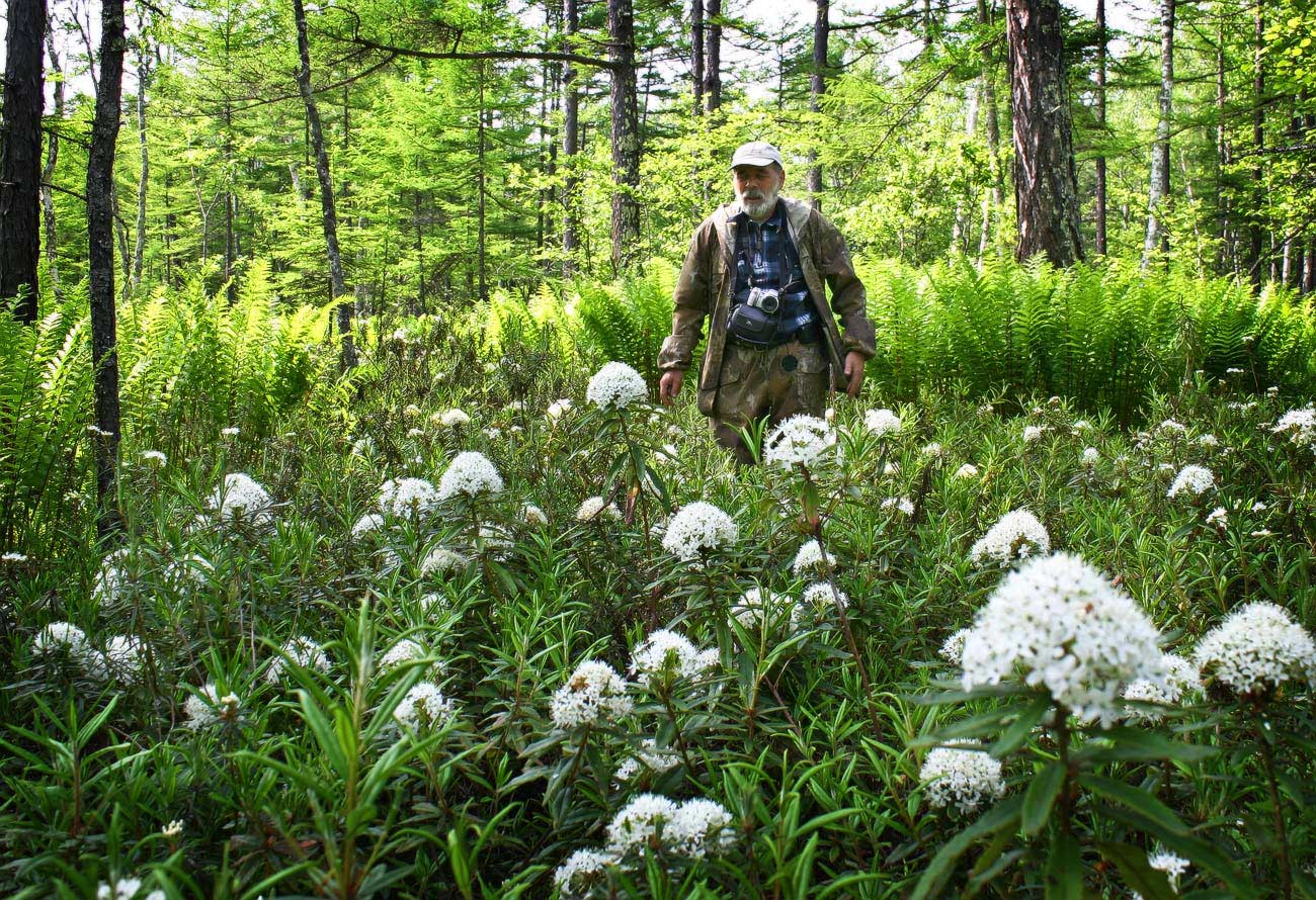 Вот теперь БАГУЛЬНИК