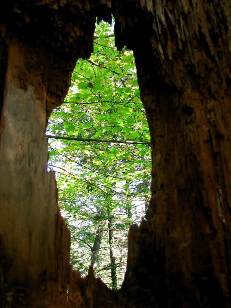 страж г. Фалаза