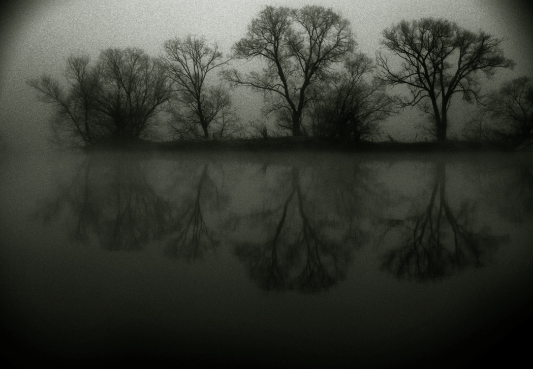 Силуэты поздней осени