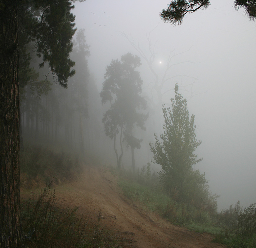 дыхание утра