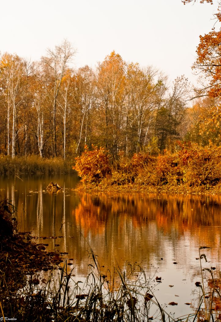 Всё та же осень...
