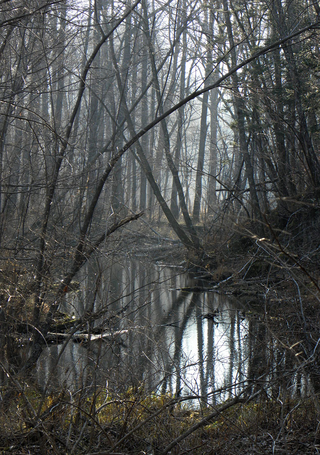 Ноябрьский этюд