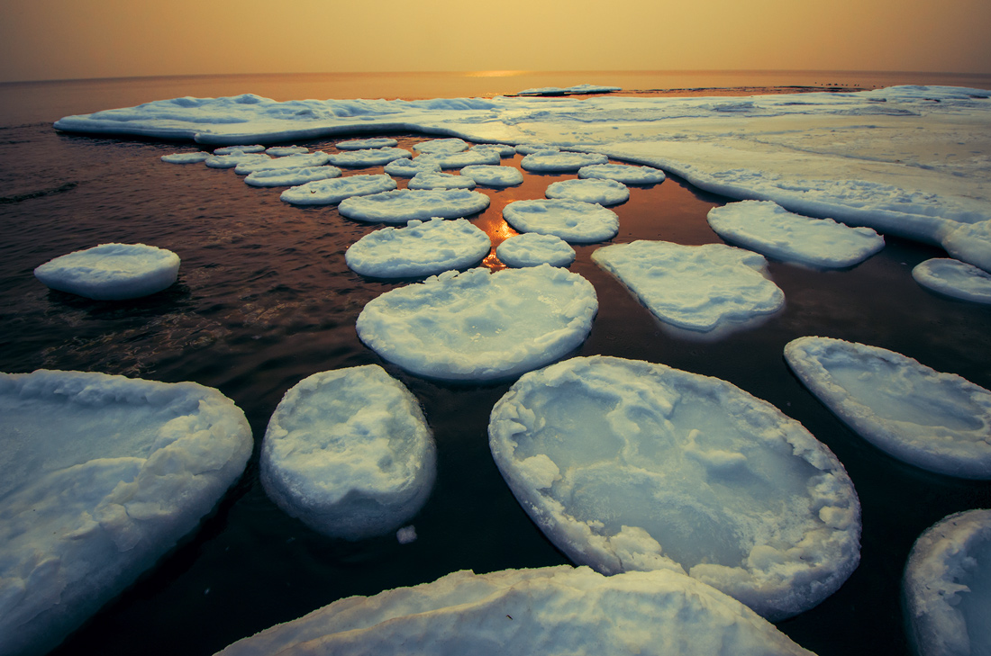 "Фабрика по производству блинчиков"