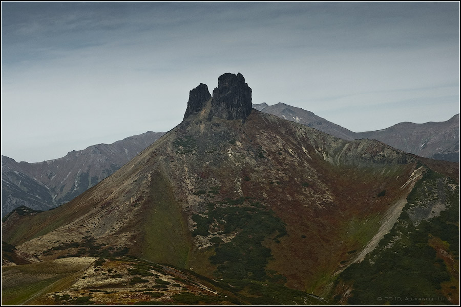 Рога и копыта...