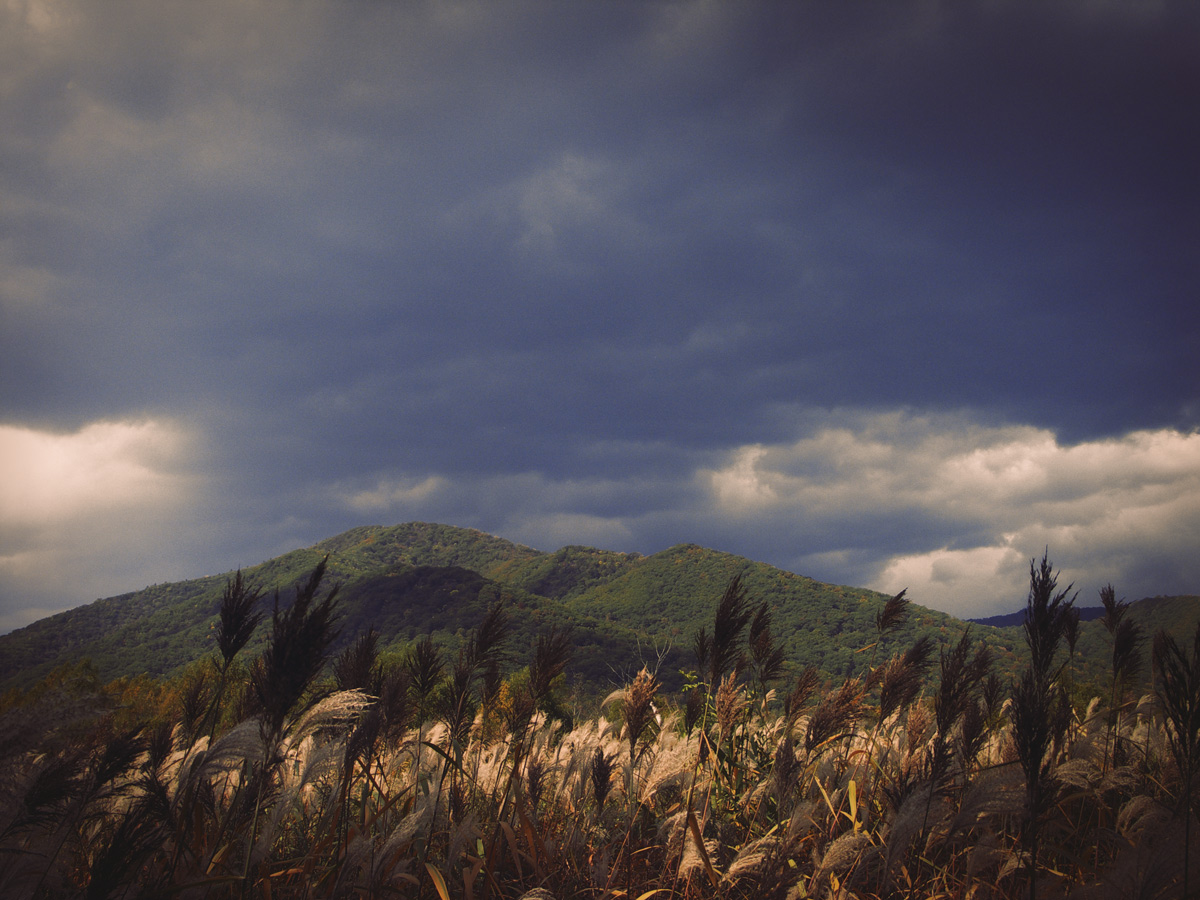 Скоро осень