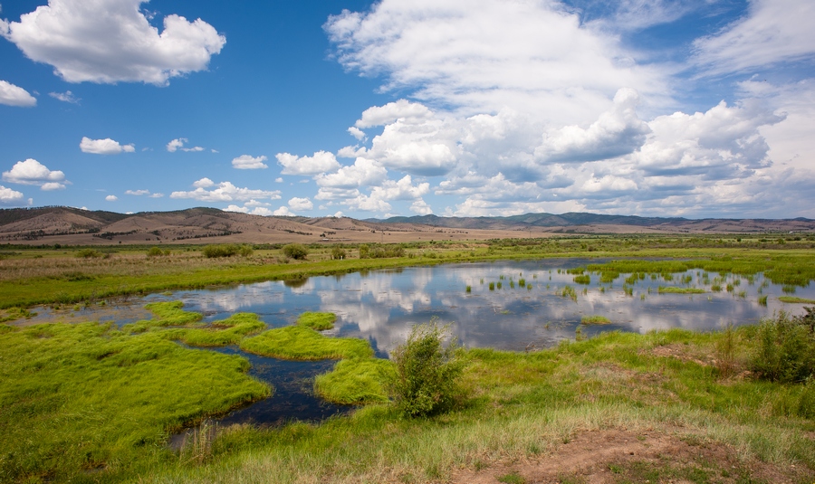 Лето в разгаре...
