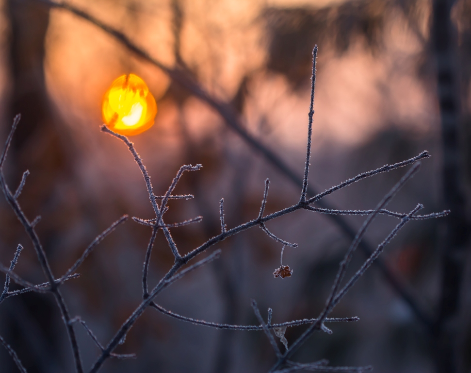 Утреннее пробуждение...
