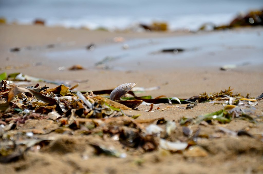 весенее настроение