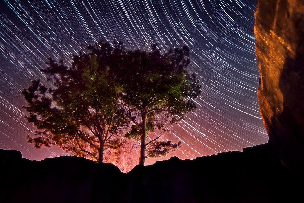 Сосны в руинах