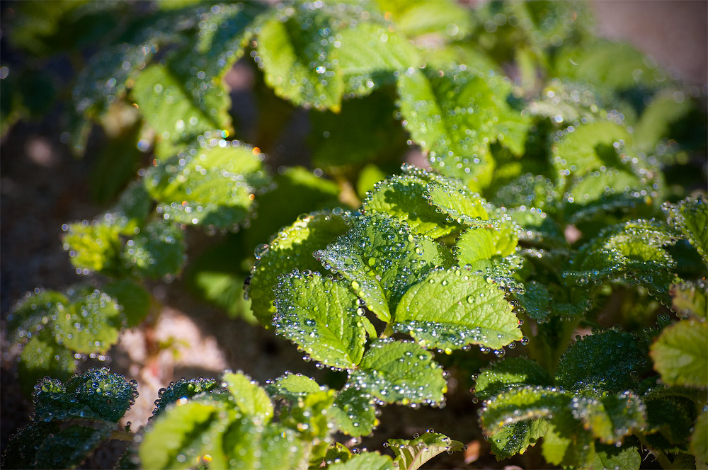 так поблииииииже? )