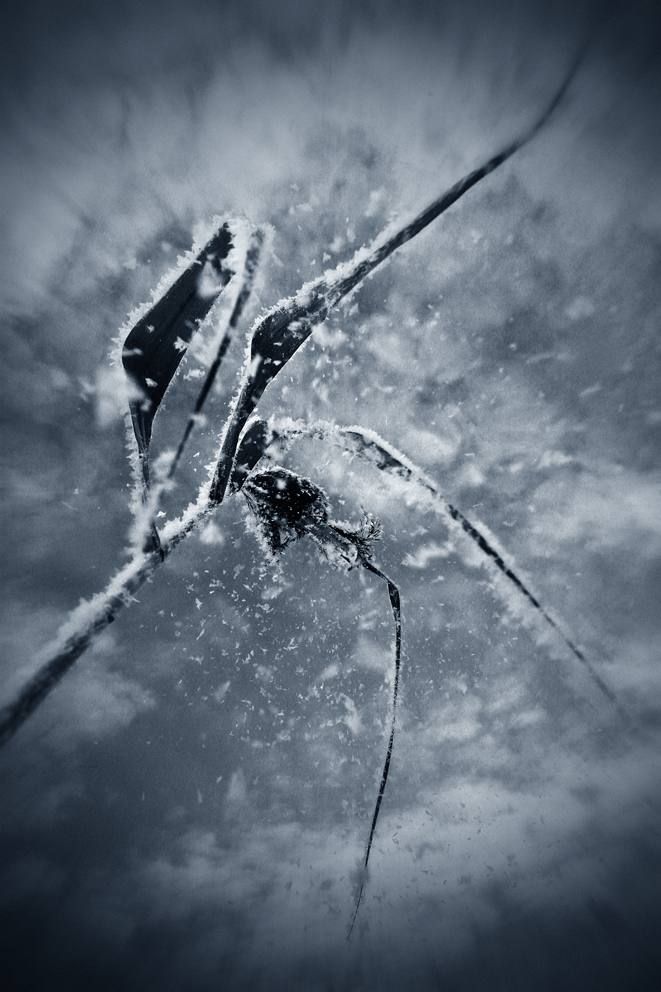 Спадла з облаков