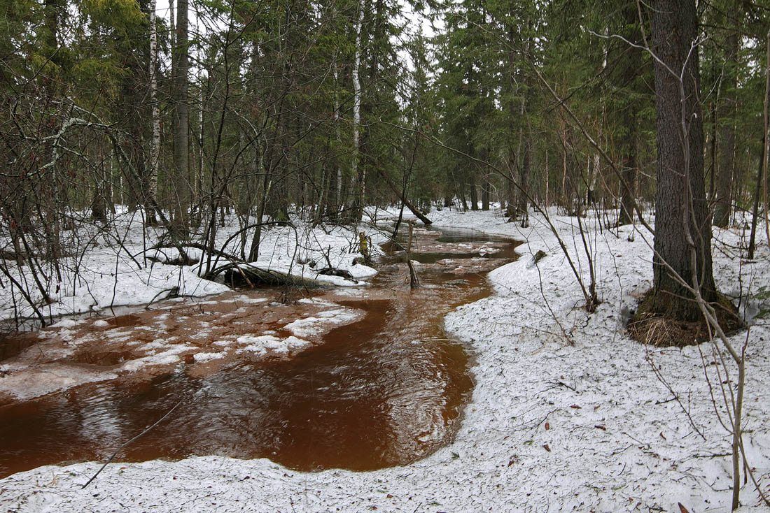 Весною тронуты снега