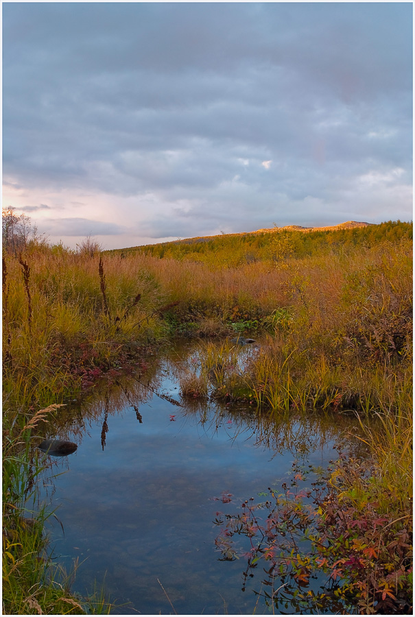 "...кауровых трав перецветы..."