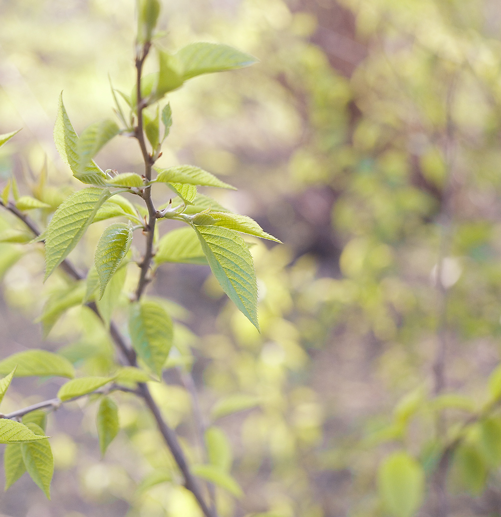 вид на главное
