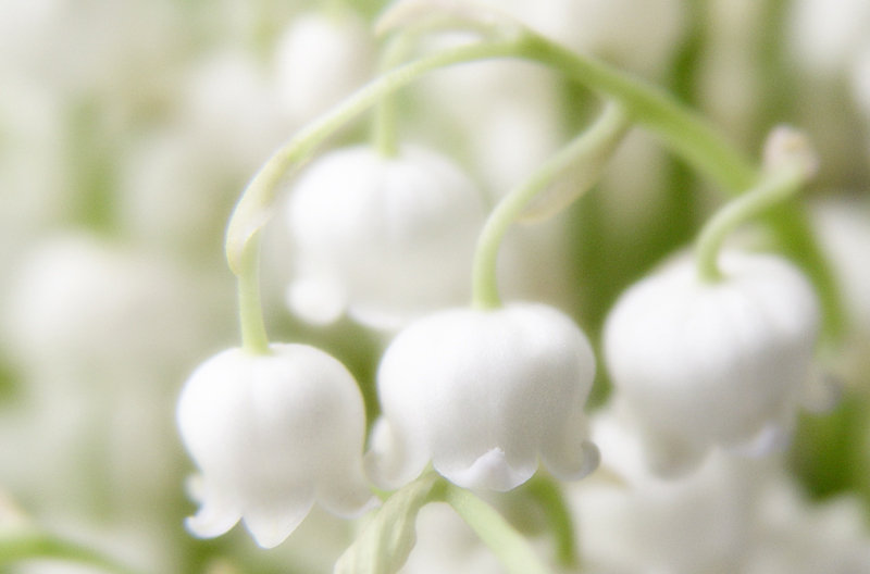 Скоро весна