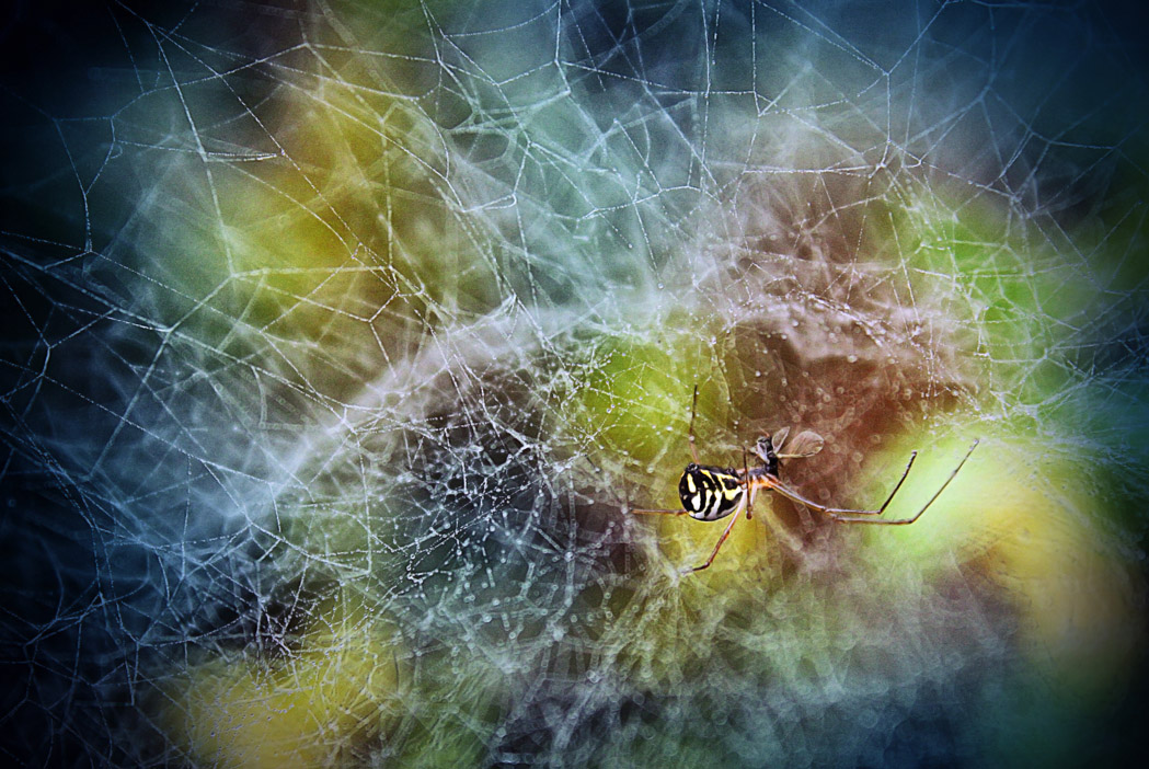 Завтрак под куполом