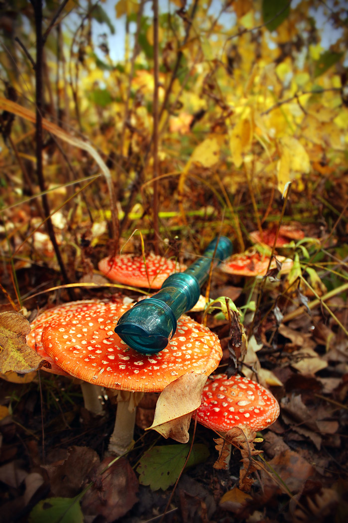 Осенние звуки еще звучат...