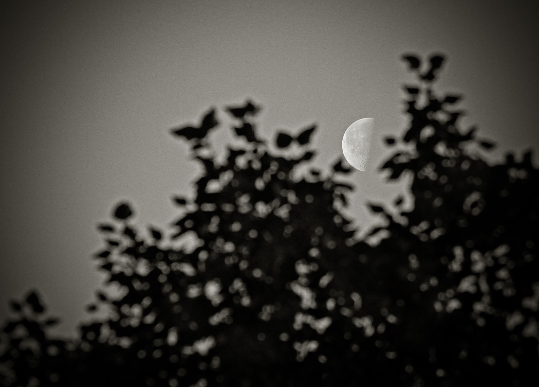 Кусочек сыррра