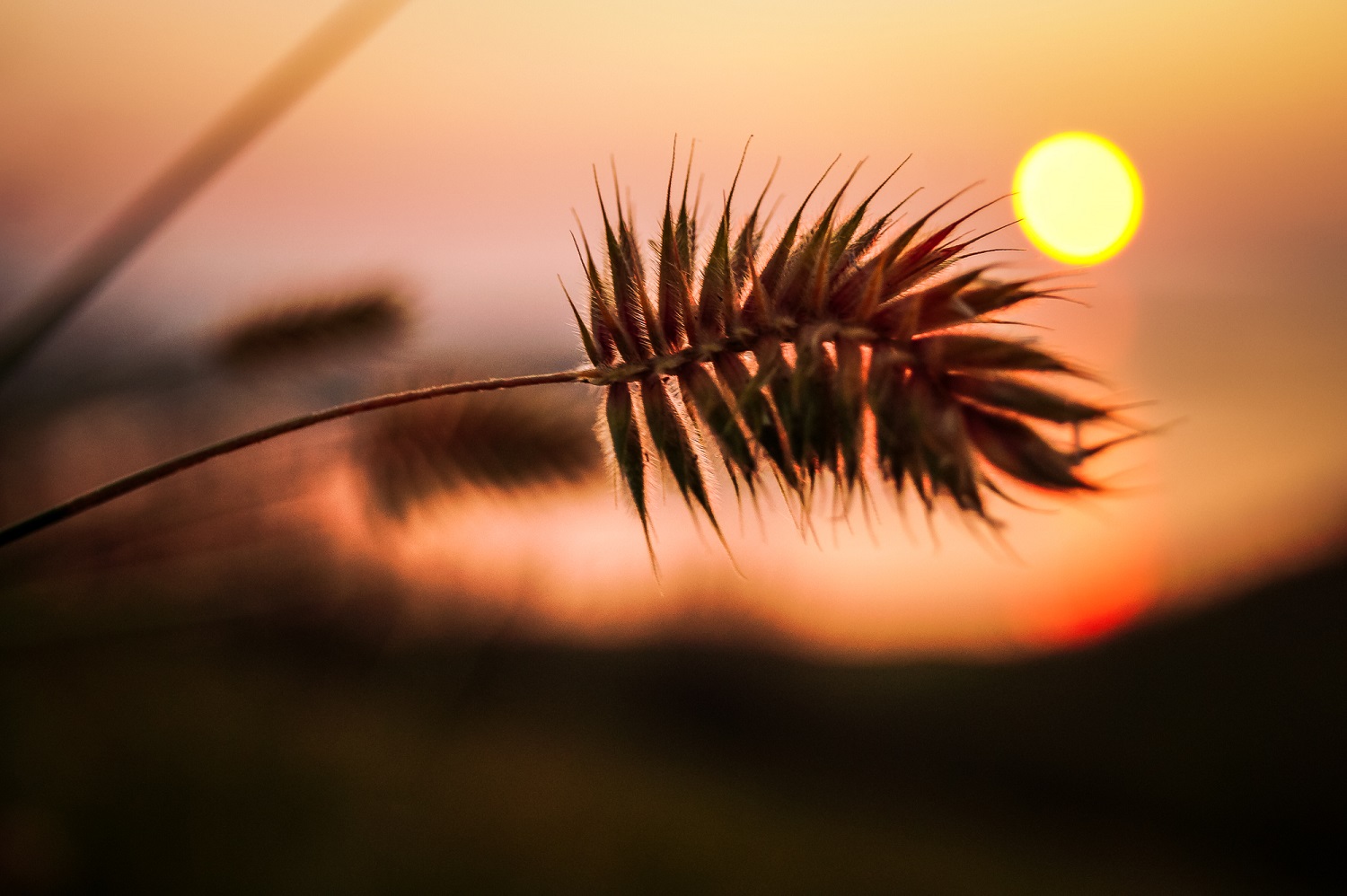 Рассвет на Байкале