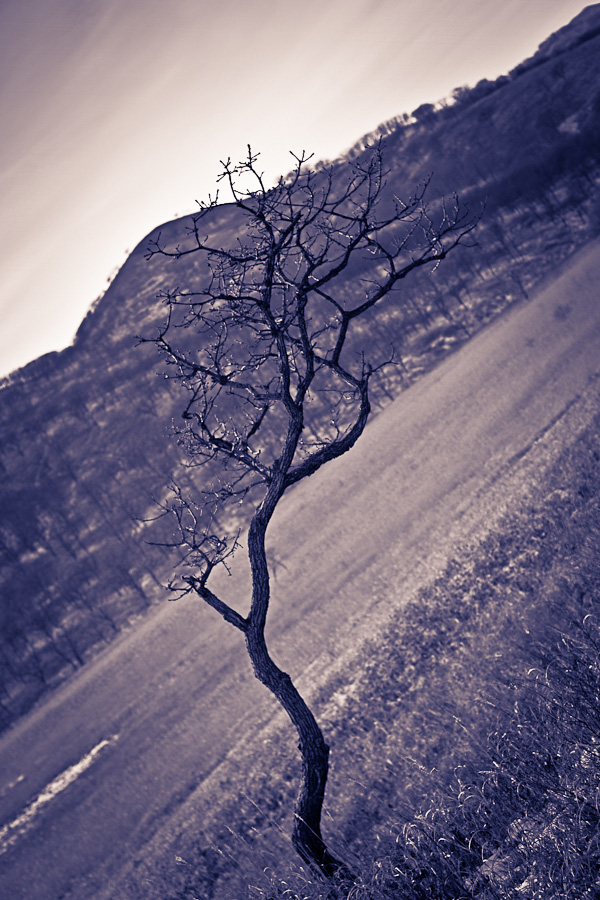 Одиночество