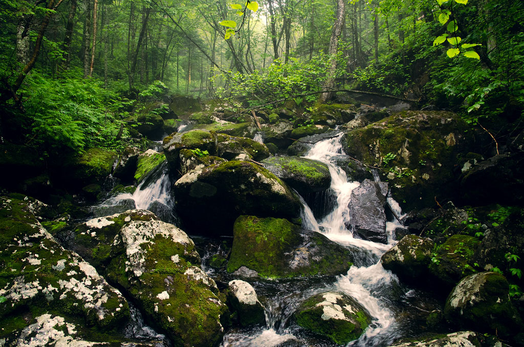 Бурные потоки Ойры