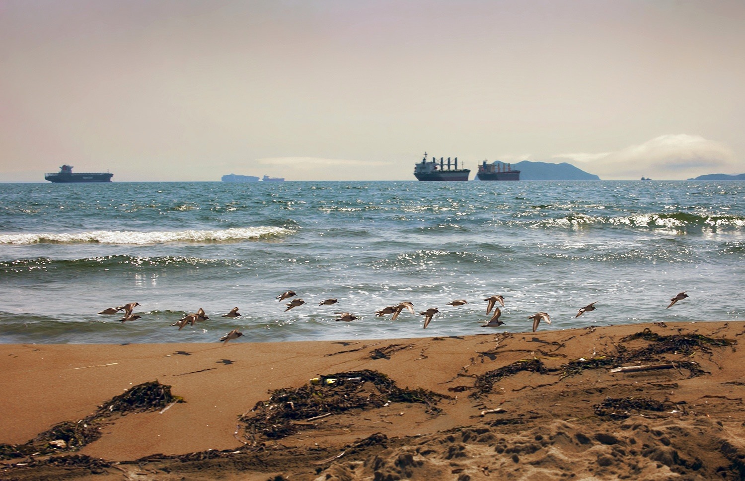 Солнечный выходной