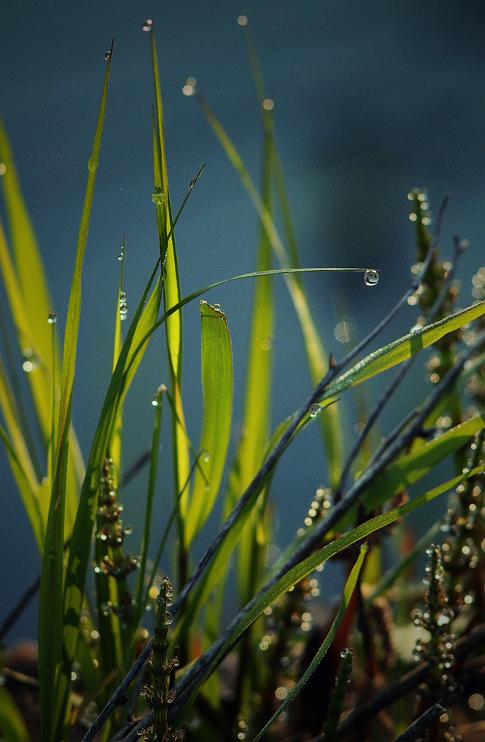 Утренний смайлик