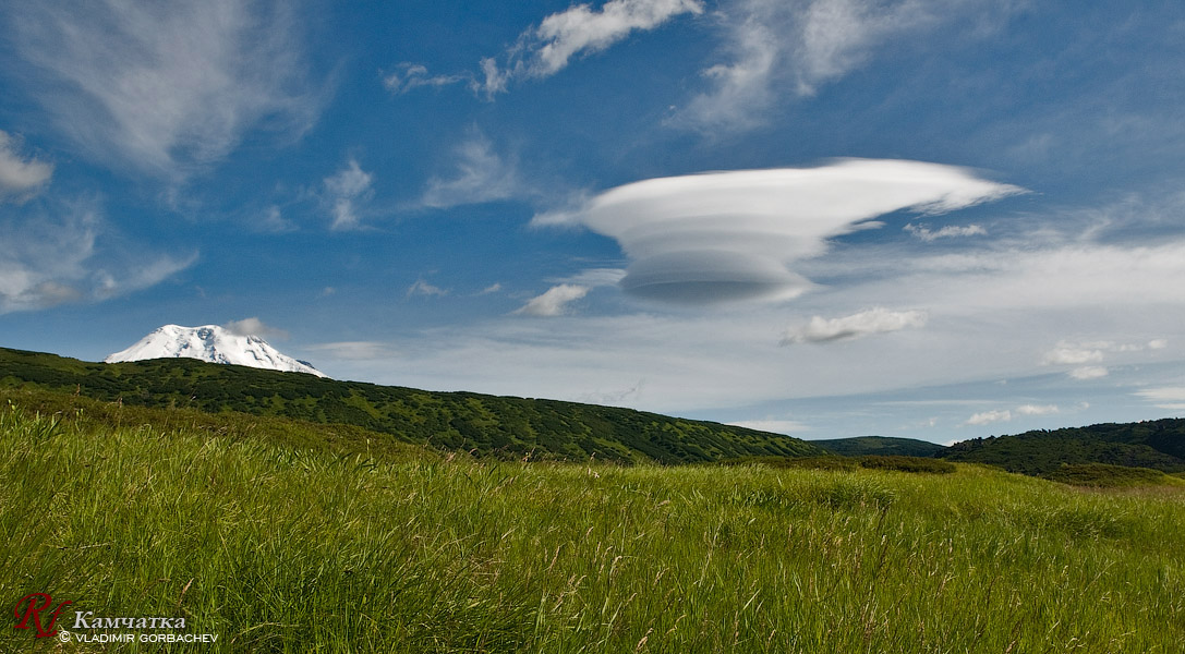 Лентикулярность