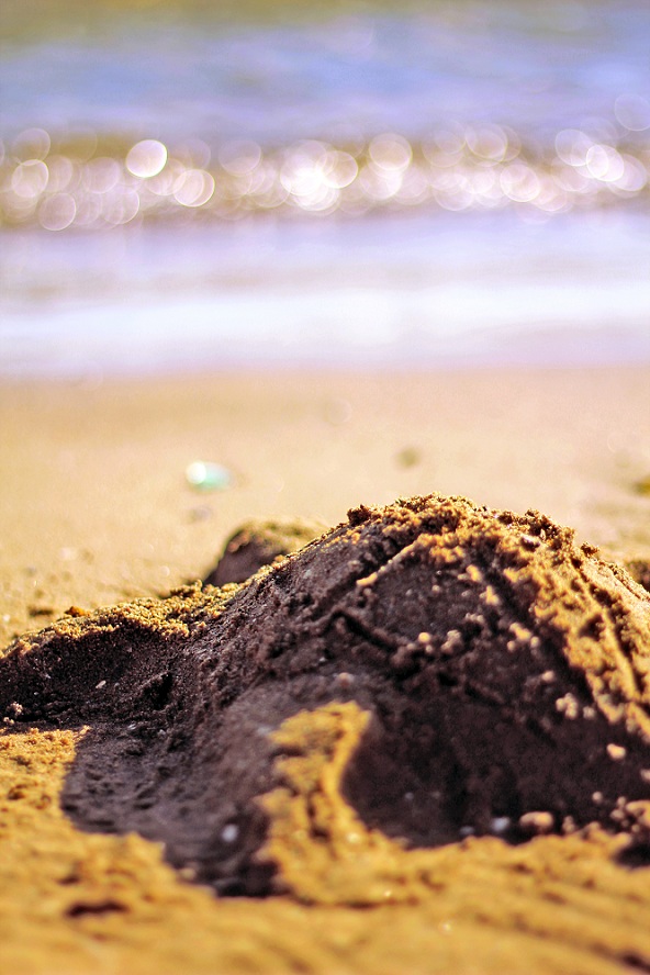 Лето ушло...