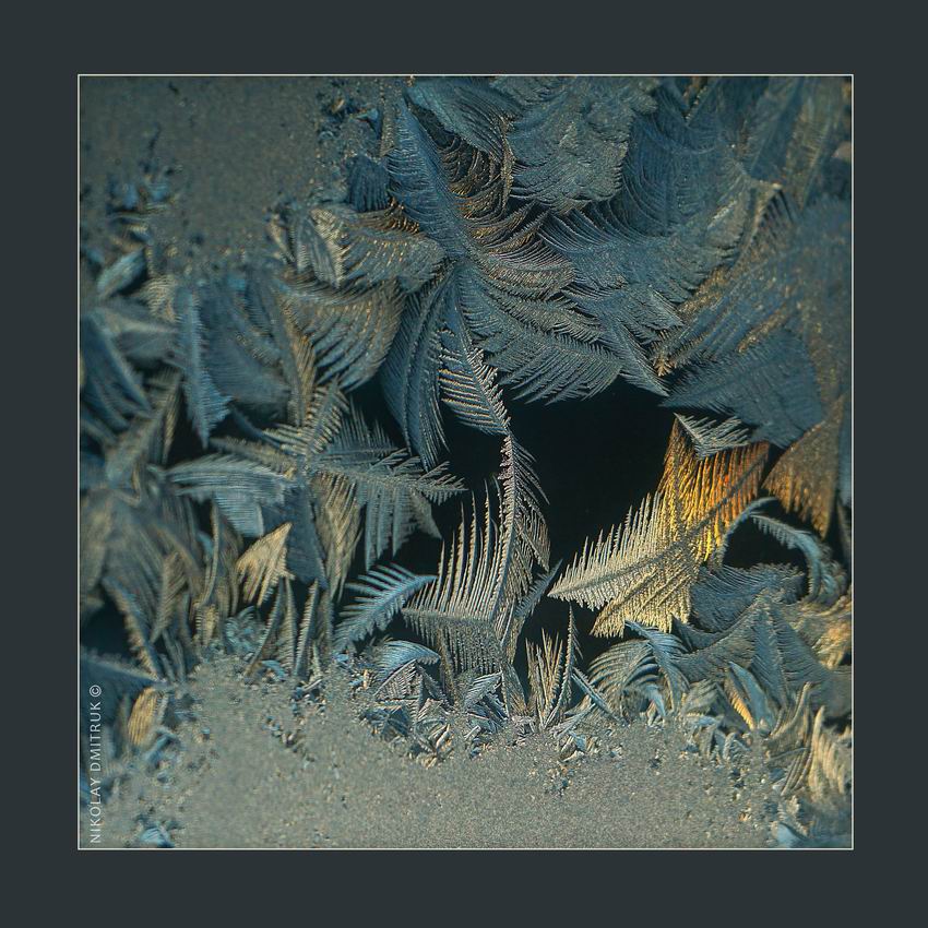 птицелов. зима. 2017