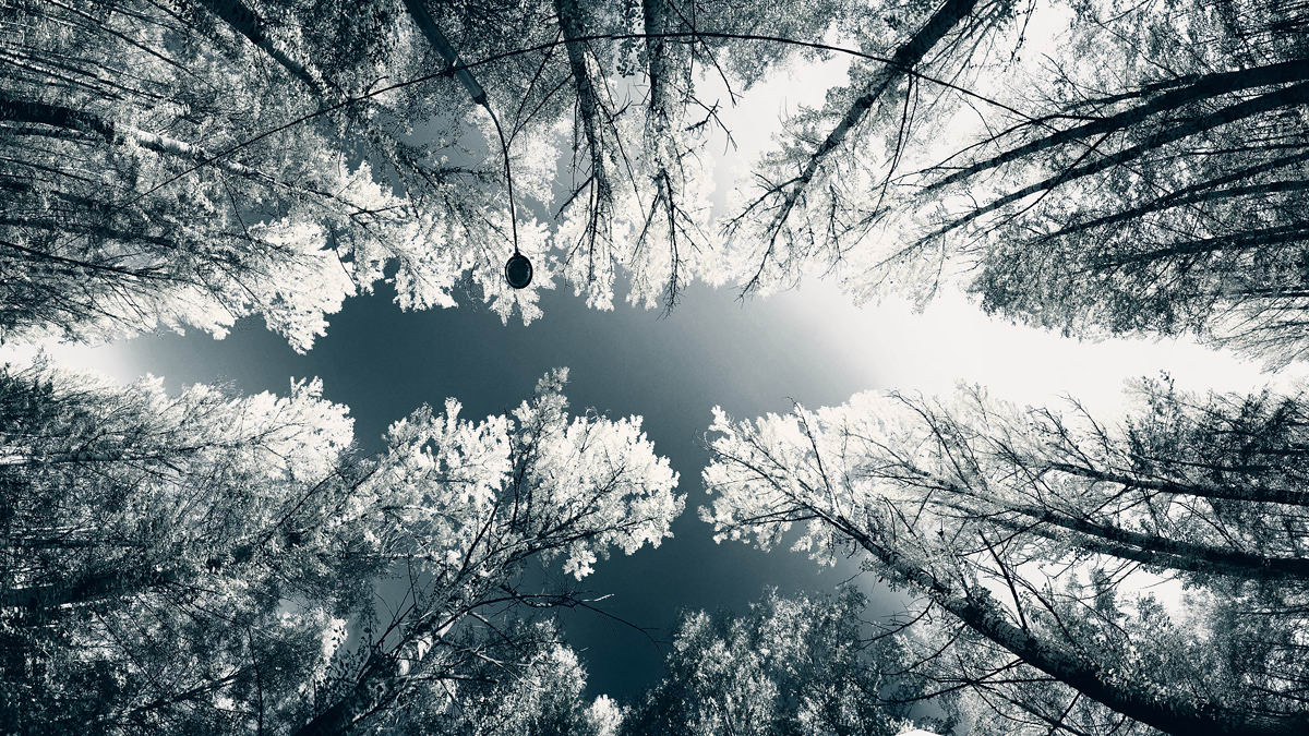 Вижу! ...осень