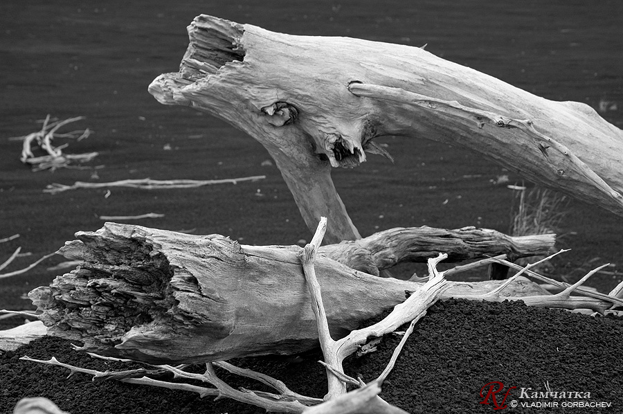 Деревянная любовь