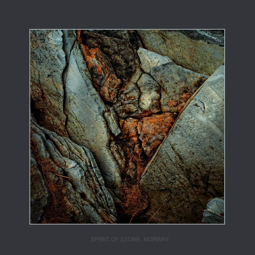 каменные рыбы