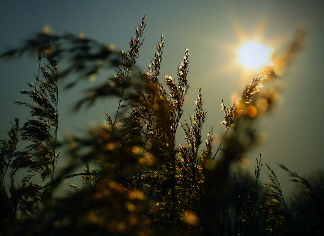 Завтра была зима