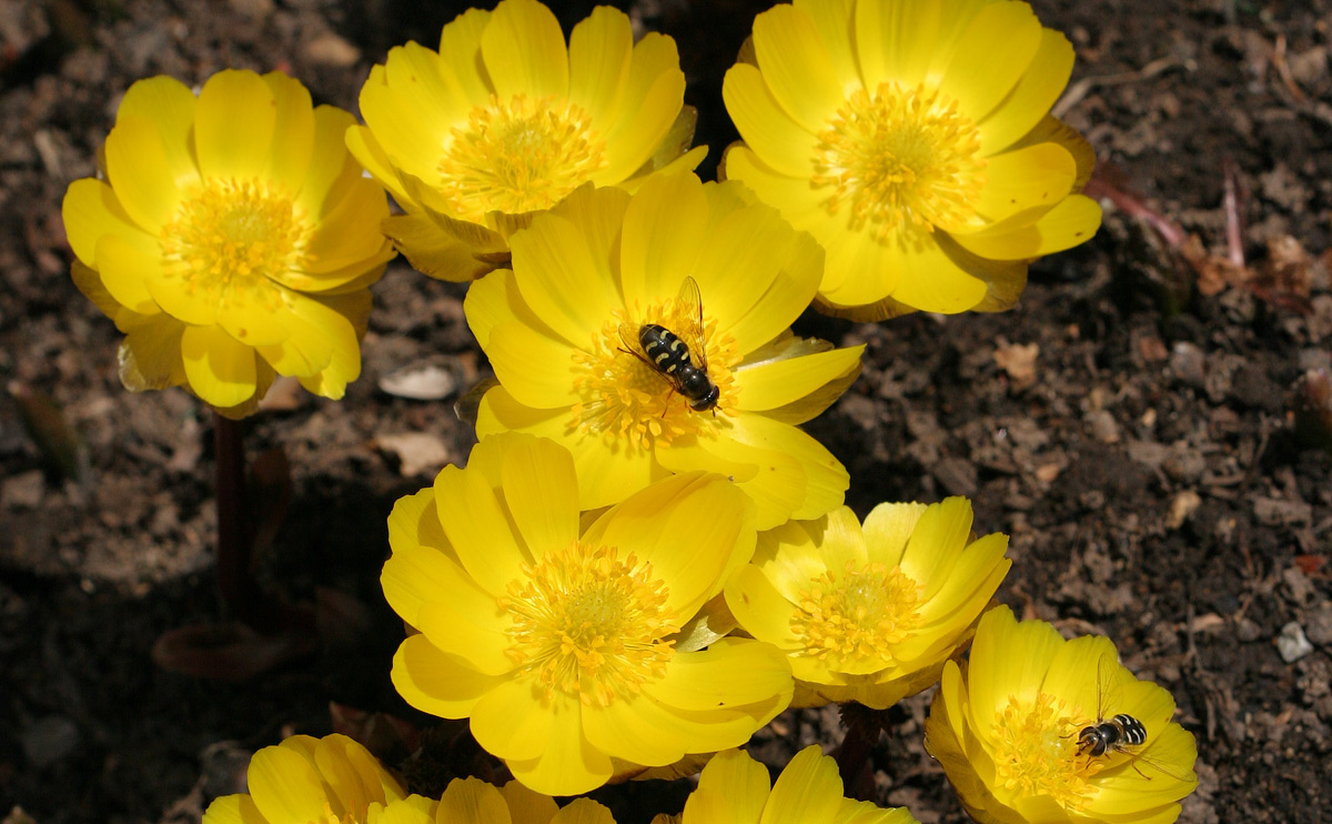 Солнечный денёк