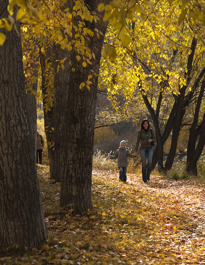 осень в парке