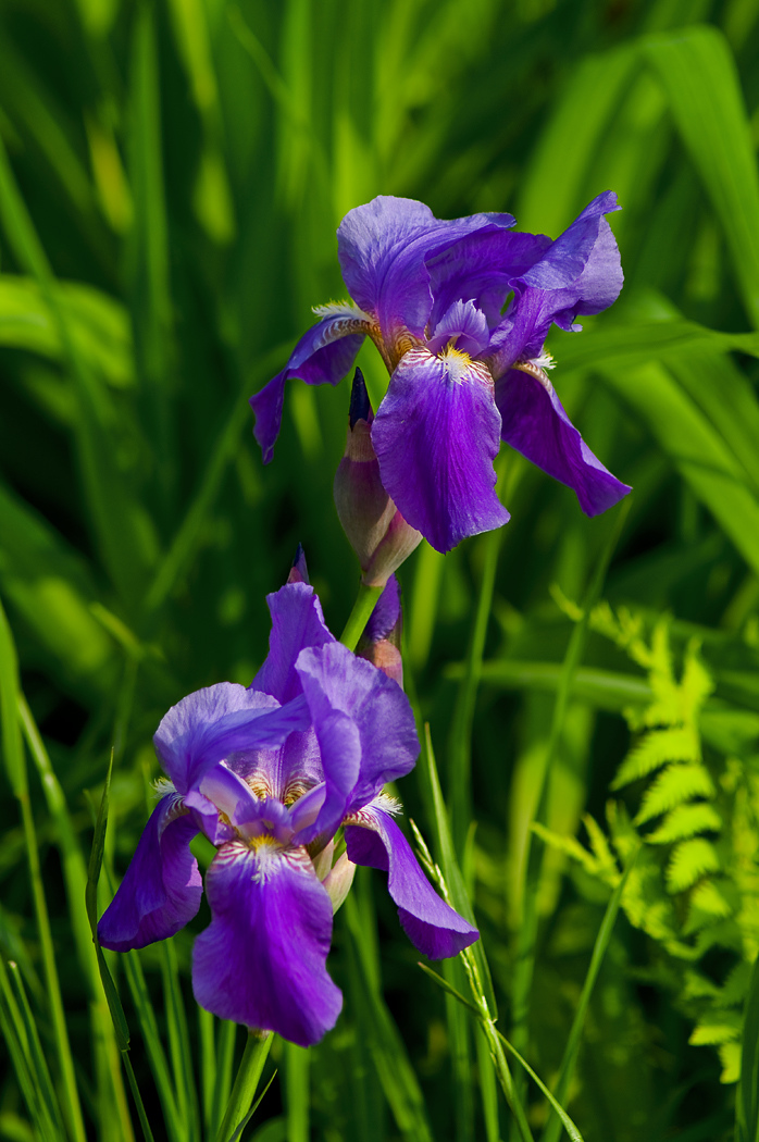 На соседнем куске болота