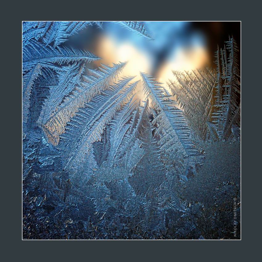 графика мороза 6. 2019