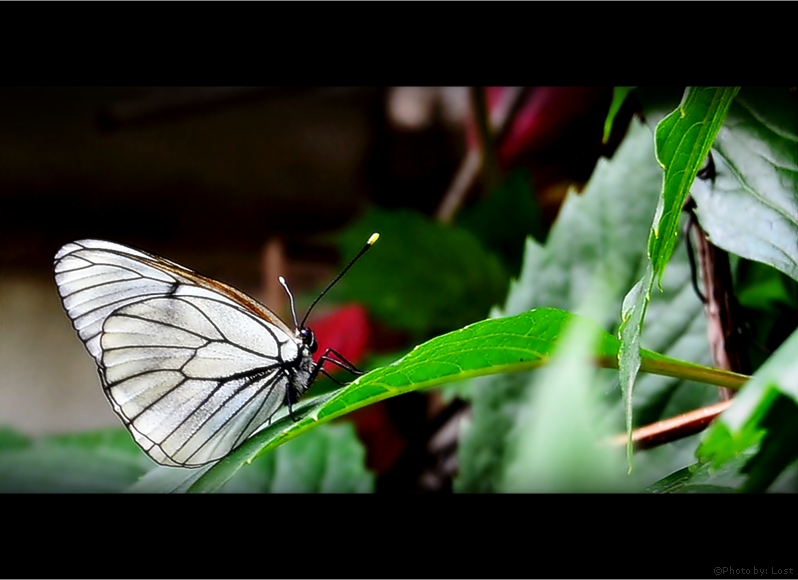 ~Ожидание сил~