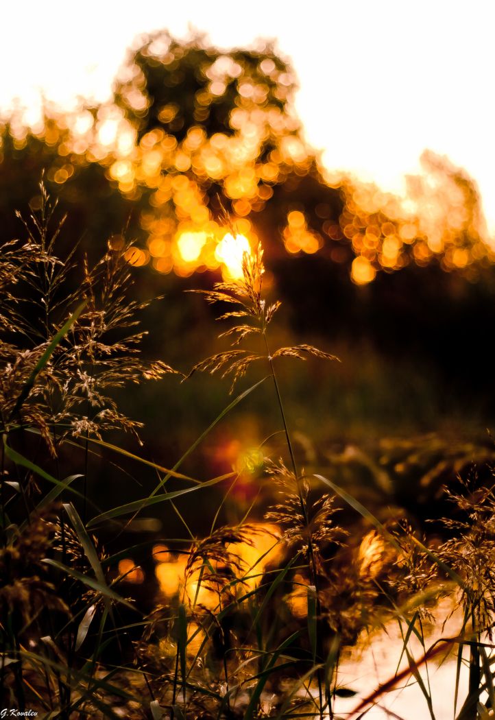 На рассвете...