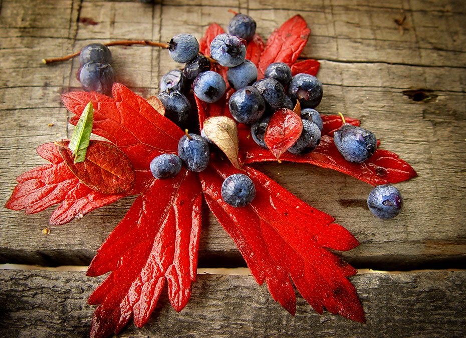 Последний день 45-ти