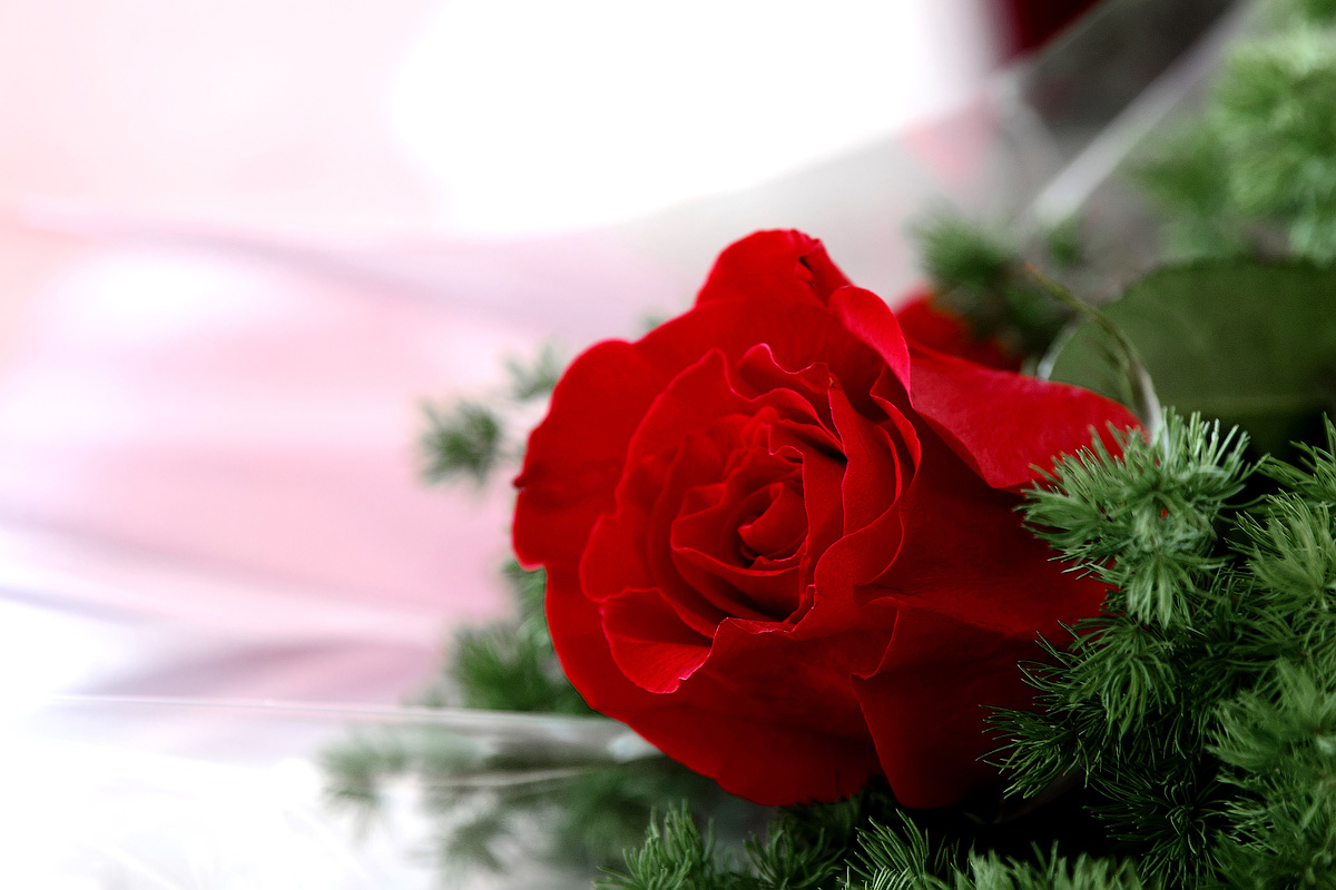 Сегодня первый день зимы, а уже так хочется лета