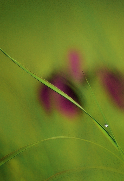 Вариации на тему...