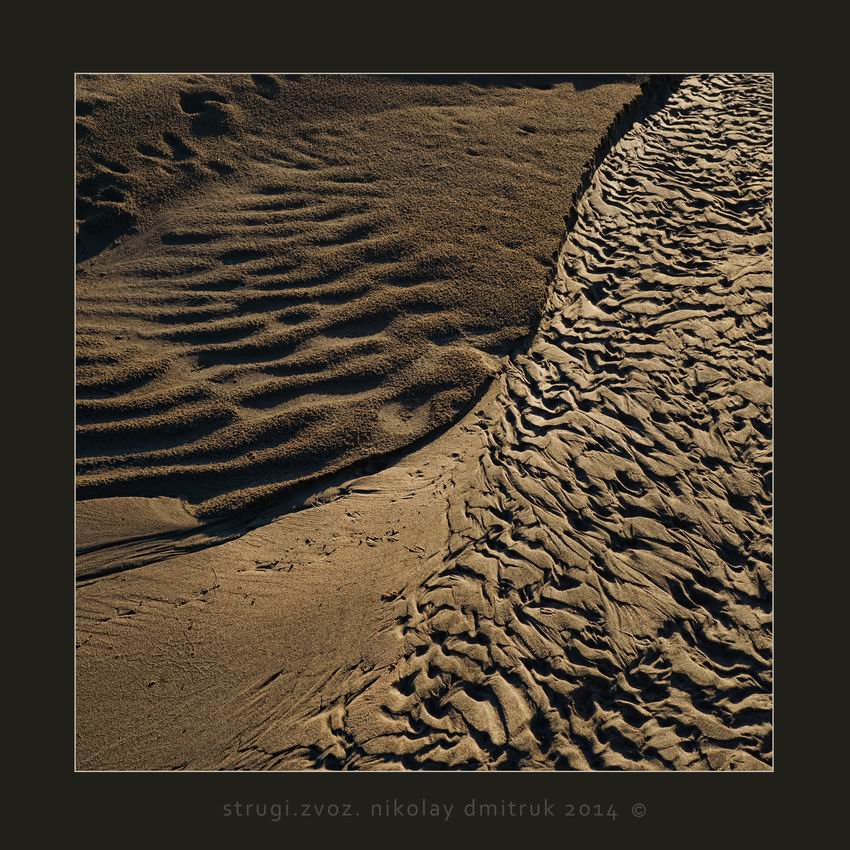 день и ночь. арт-резиденция "Звоз" 2014