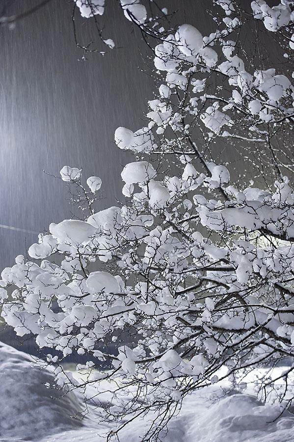 Январский снег