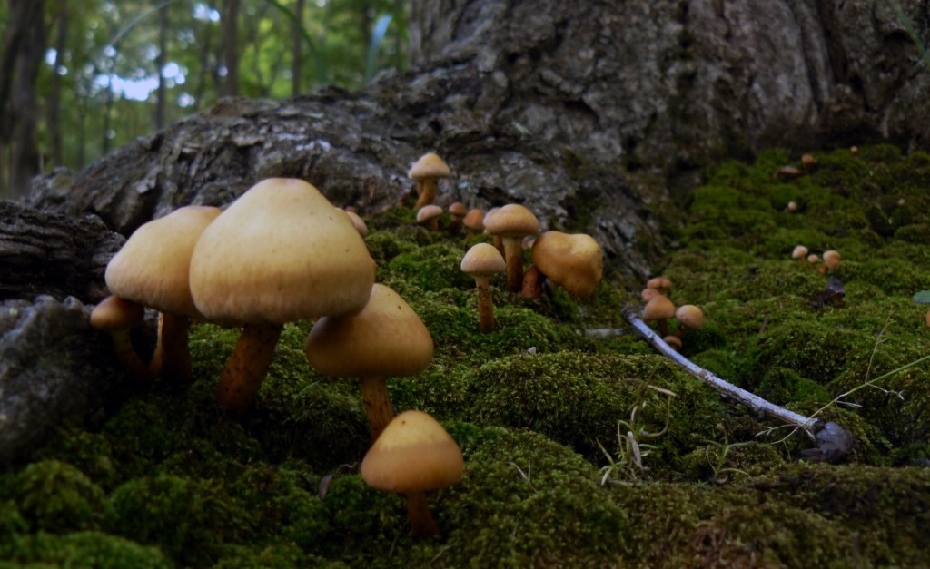 Из реальности в сказку