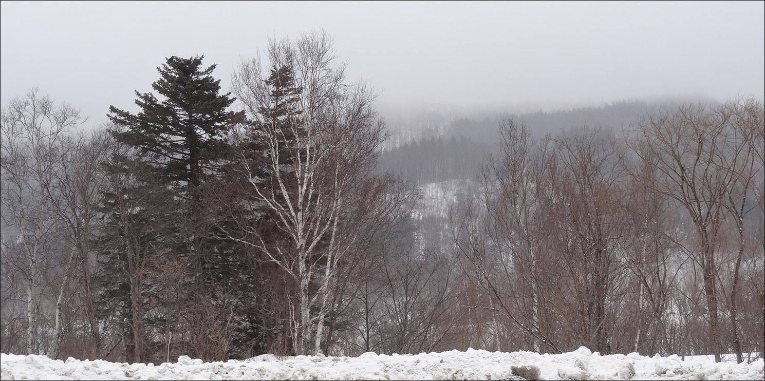 Март на Сахалине